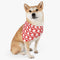Teq Dog Bandana, Toyota Pet Collar, Gift For Dog, Pet Bandana Collar